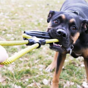 Kong Jaxx Infinity Tug Dog Toy