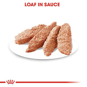 Royal Canin Lightweight Care Loaf Wet Dog Food
