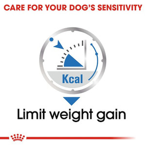 Royal Canin Lightweight Care Loaf Wet Dog Food