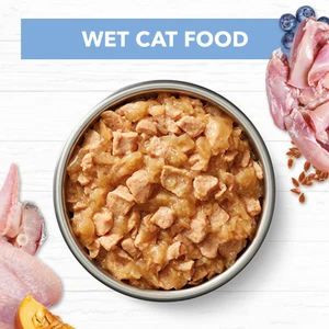 Ivory Coat Kitten Wet Cat Food Chicken & Ocean Fish Jelly
