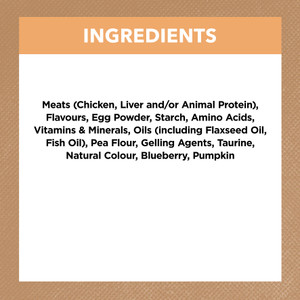 Ivory Coat Kitten Wet Cat Food Chicken Gravy
