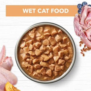 Ivory Coat Kitten Wet Cat Food Chicken Gravy