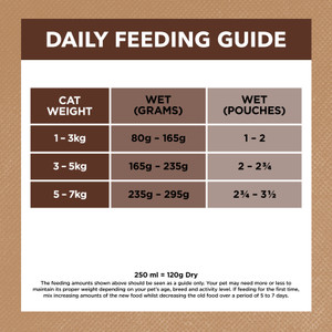 Ivory Coat Wet Cat Food Chicken & Kangaroo Gravy