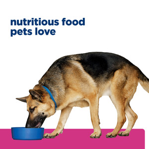 Hill's Prescription Diet Gastrointestinal Biome Dry Dog Food