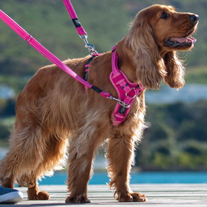 Rogz Control Dog Harness Black