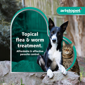 Aristopet Fleas, Heartworm & Worms For Cats