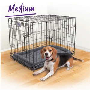 Kazoo Premium Collapsible Dog Crate