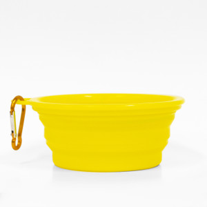 PetO Portable Collapsible Dog & Cat Bowl Assorted