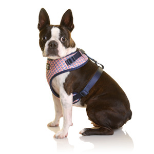DOOG Neoflex Dog Harness GROMIT