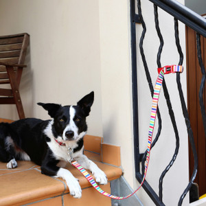 DOOG Clip It Neoprene Dog Leash PONGO