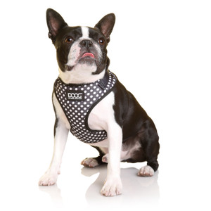 DOOG Neoflex Dog Harness PONGO