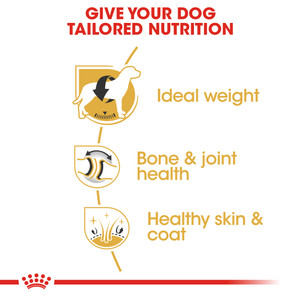 Royal Canin Labrador Retriever Gravy Wet Dog Food