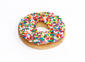 Pooch Treats Doggy Sparkle Donut 1PC