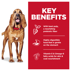 Hill's Science Diet Sensitive Stomach & Skin Large Breed Dry Dog Food