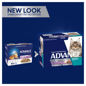 ADVANCE Indoor Chicken & Turkey in Jelly Wet Cat Food Pouches