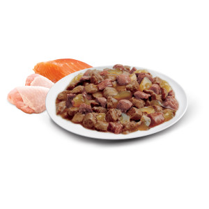 ADVANCE Indoor Chicken & Turkey Jelly and Ocean Fish Jelly Medley Wet Cat Food