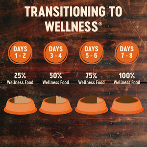 Wellness CORE Grain Free Adult Original Turkey & Chicken Dry Cat Food