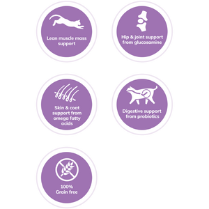 Wellness CORE Grain Free Indoor Cat Salmon & Herring Dry Cat Food