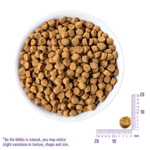Wellness CORE Grain Free Indoor Cat Salmon & Herring Dry Cat Food