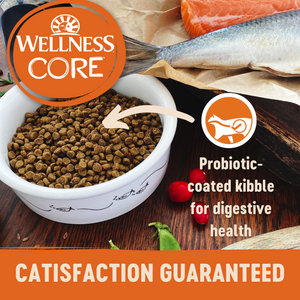 Wellness CORE Grain Free Indoor Cat Salmon & Herring Dry Cat Food