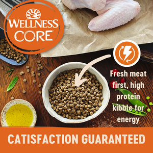 Wellness CORE Grain Free Indoor Cat Salmon & Herring Dry Cat Food