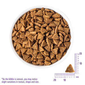 Wellness CORE Grain Free Small Breed Turkey & Chicken Adult Dry Dog Food