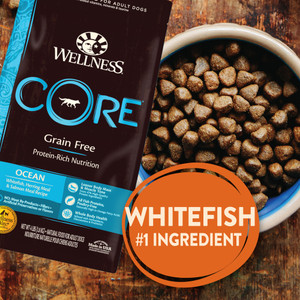 Wellness CORE Grain Free Ocean Whitefish, Herring & Salmon Adult Dry Dog Food