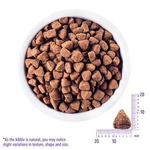 Wellness CORE Grain Free Original Turkey & Chicken Adult Dry Dog Food
