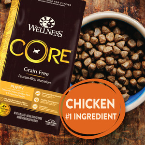 Wellness CORE Grain Free Chicken & Turkey Dry Puppy Food