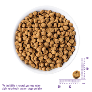Wellness CORE Grain Free Chicken & Turkey Dry Puppy Food