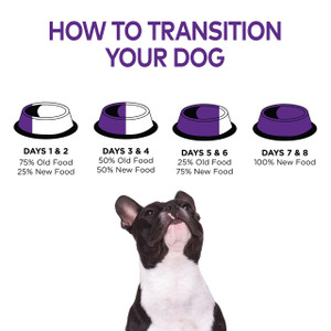 Wellness Petite Entrees Mini-Filets Turkey, Green Beans & Sweet Potatoes Wet Dog Food