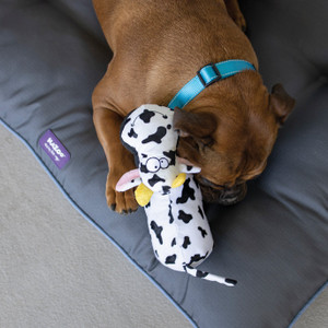 Kazoo Furries - Tough Cow Dog Toy