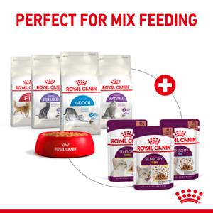 Royal Canin Adult Sensory Smell in Jelly Wet Cat Food Pouches