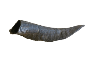 CHOMPY Goat Horn Single Large Dog Treats