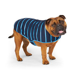 Kazoo Blue Stripe Dog Reversible Snuggie
