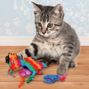 KONG Pull-A-Partz Pinata Cat Toy play