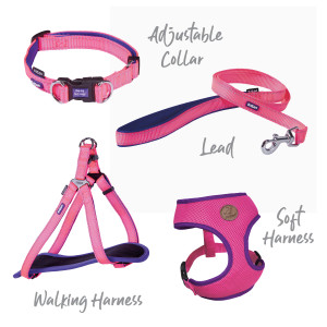 Kazoo Active Adjustable Nylon Dog Collar Bloom Burst set