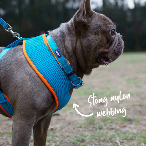 Kazoo Active Soft Dog Walking Harness Ocean Sunrise  dog2
