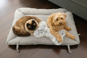 La Doggie 2-in-1 Hamptons Travel Bed