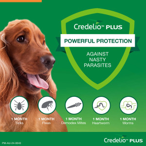 Credelio Plus Flea, Tick and Worming for Medium Dogs 5.5 to 11kg Orange