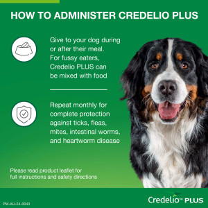 Credelio Plus Flea, Tick and Worming for Large Dogs 11 to 22kg Green