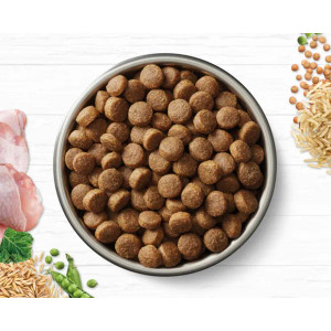 Ivory Coat Dry Dog Food Chicken and Brown Rice 15kg