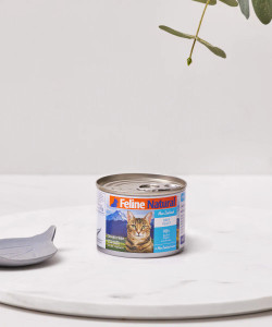 Feline Natural Canned Beef Feast Cat Food