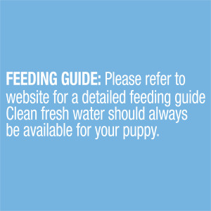 ADVANCE Puppy All Breed Chicken and Rice Wet Food