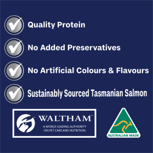 ADVANCE Adult All Breed Casserole with Salmon Wet Food