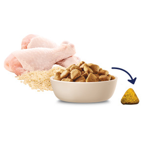 ADVANCE Mobility Large Breed Chicken Dry Dog Food