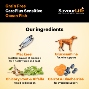 SavourLife Care Plus Sensitive Grain Free Dry Dog Food Ocean Fish