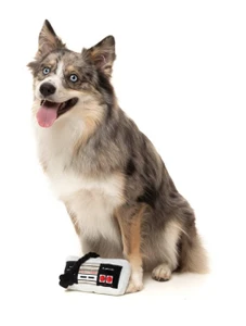 FuzzYard Dog Toy Dogtendo Controller