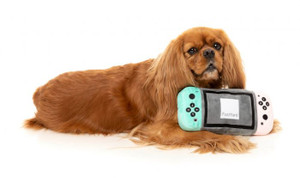 FuzzYard Dog Toy Dogtendo Sniff