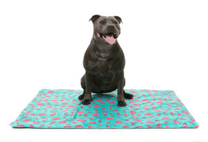 FuzzYard Summer Punch Cooling Mat